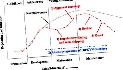 obstetricale