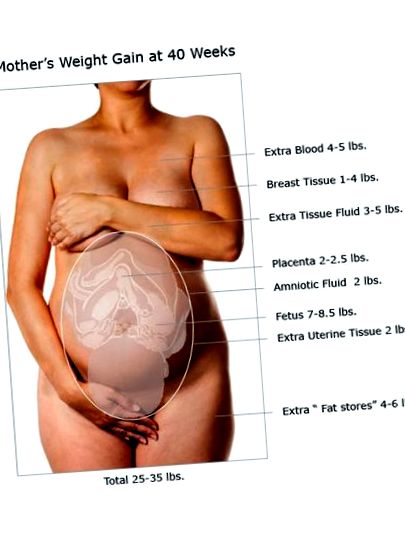 Кльощавото при наддаване на тегло по време на бременност