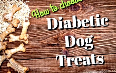 кучета диабет