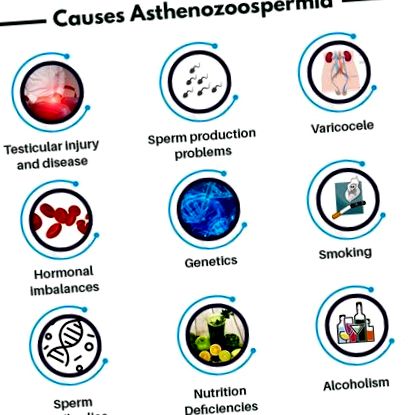 astenozoospermie