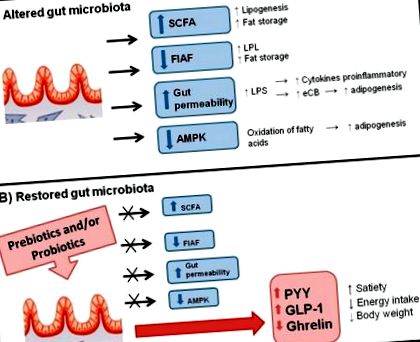 microbiota