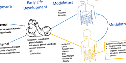 microbiota