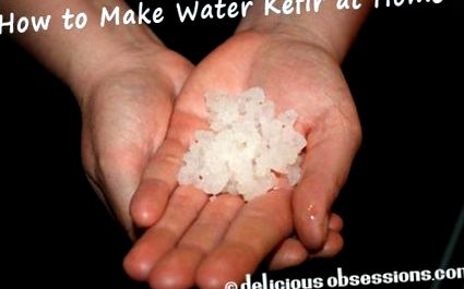 kefir