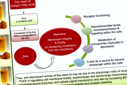 sciencedirect