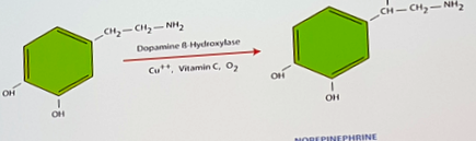 biobalance