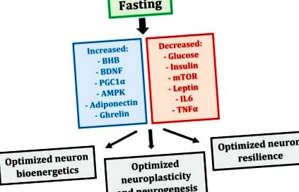 neurologice