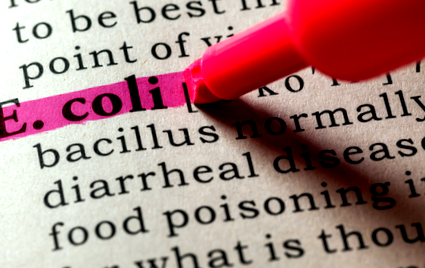 заразяване coli
