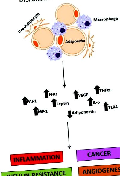 cancerului