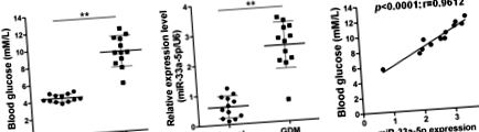 microrna-33a-5p