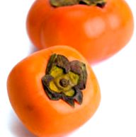 persimmon