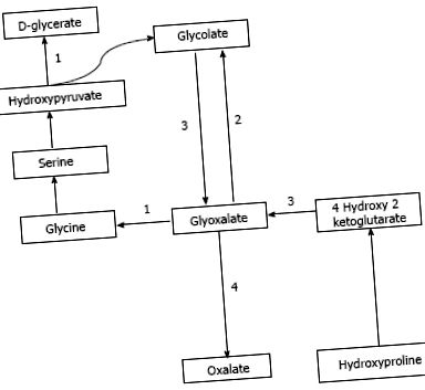 hiperoxalurie