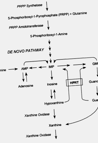 sciencedirect