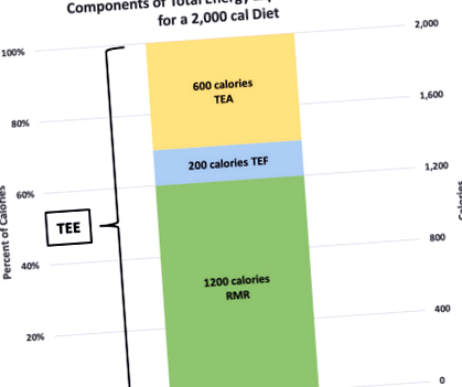 metabolismul