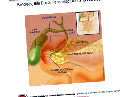 gastroenterologie