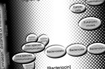 bacteriocinelor