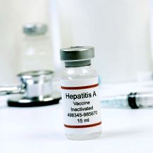 hepatita Hepatita