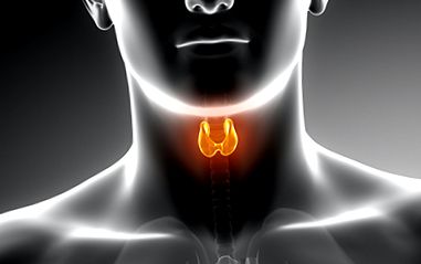 щитовидна жлеза
