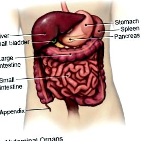 apendectomie