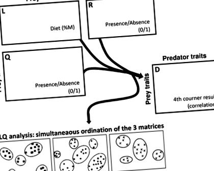 taxonomie