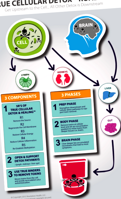 Cellular Detox