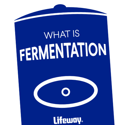 fermentate