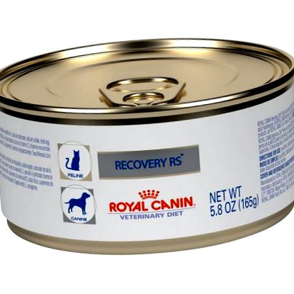 royal canin recovery rs