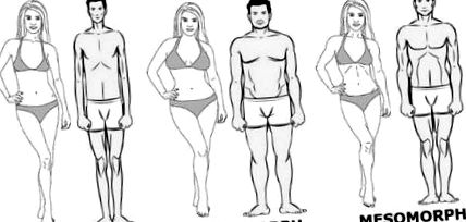 Különböző testtípusok a testépítéssel kombinálva: lehetséges?