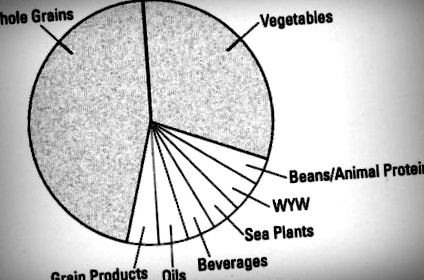 macrobiotica