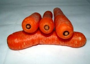 morcovii