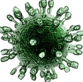 rotavirusul