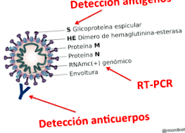 microbio