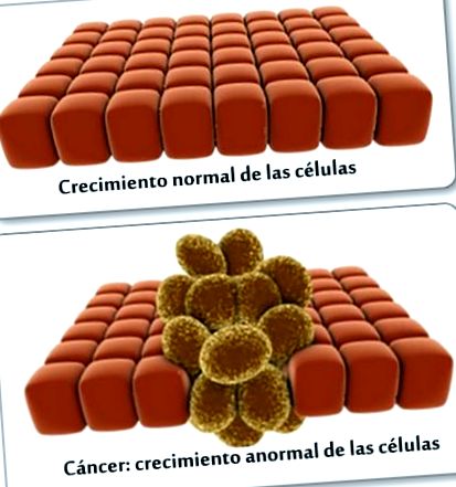 rákos sejtek