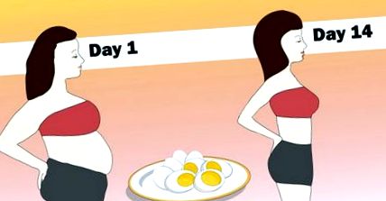 tojás diéta 2 hét hogyan lehet zsírot veszíteni a hasában