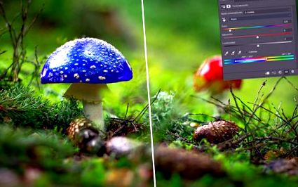 слоеве photoshop