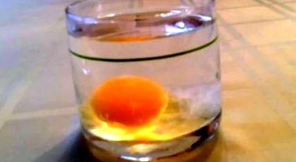 tojással