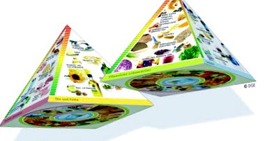 élelmiszer-piramisai