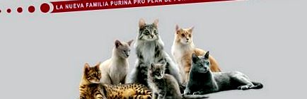 Purina Pro Plan își reînnoiește linia de hrană pentru pisici