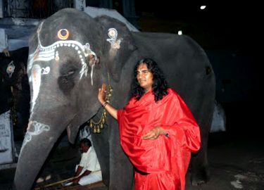 vishwananda