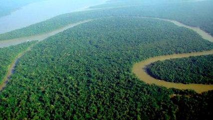 pădurii tropicale