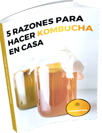 8 bizonyítékokon alapuló egészségügyi előny a kombucha tea számára