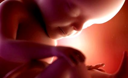 27 Tizhden Vagitnosti 29 Va Dlya Ditini Ta Materi 7 Misyac