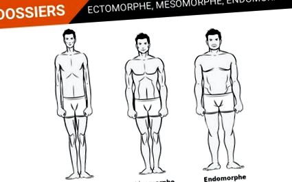 zsírvesztés az endomorf számára)