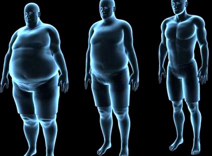 Microbiota și obezitatea