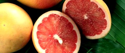 grapefruitul