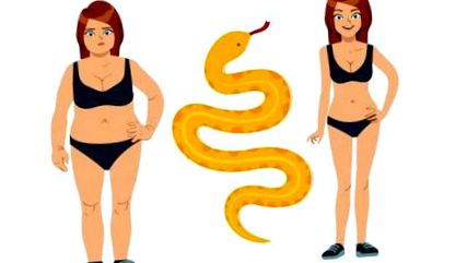 kígyó tök előnyeit a fogyás)