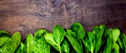 frunzele de salată vă ajută să pierdeți în greutate