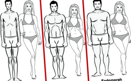Cum se determină tipul de corp la bărbați și femei? Tipul corpului normostenic sau mezomorf