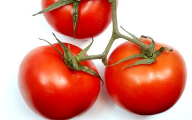 tomatul