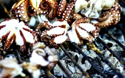 Рецепти за октопод на скара и съвети за готвене на октопод на барбекюто