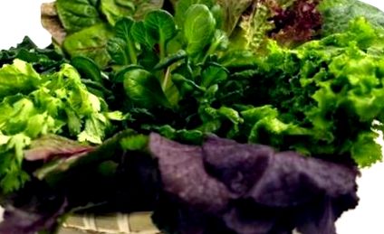 téli szív egészség zöld saláta